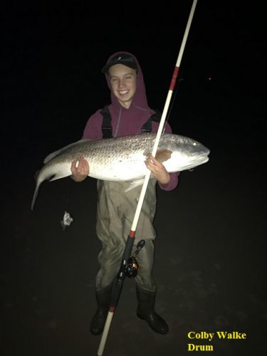 TW’s Bait & Tackle, Daily Fishing Report