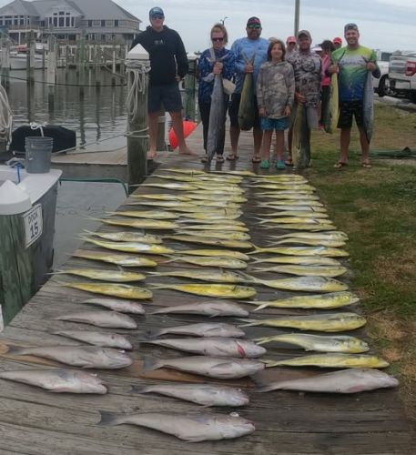True Grit Sportfishing, Excellent Day