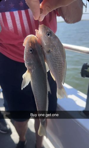 Miss Oregon Inlet II Head Boat Fishing, Croaker City