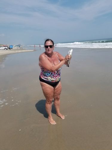 OBX Bait & Tackle Corolla Outer Banks, Corolla Fish Report