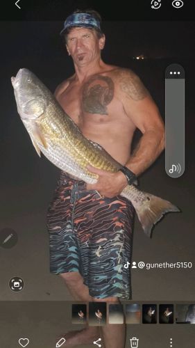 OBX Bait & Tackle Corolla Outer Banks, Corolla Fish Report