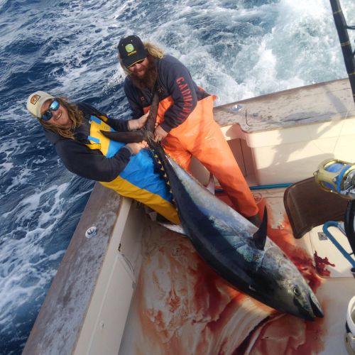 Tuna Duck Sportfishing, Bluefins Showin' Off