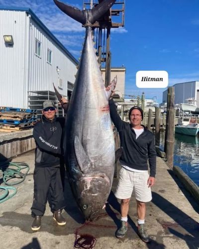 Oceans East Bait & Tackle Nags Head, Catching Giants