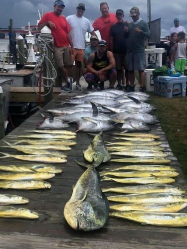 OBX Bait & Tackle Corolla Outer Banks, Corolla Fish Report