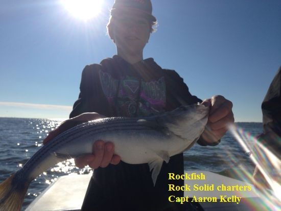 TW’s Bait & Tackle, Tw's Daily Fishing Report. 1/3/16