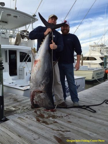 TW’s Bait & Tackle, TW's Daily Fishing Report. 2/4/16