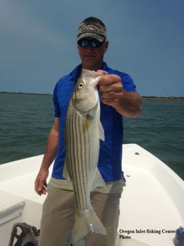 TW’s Bait & Tackle, Daily Fishing Report.