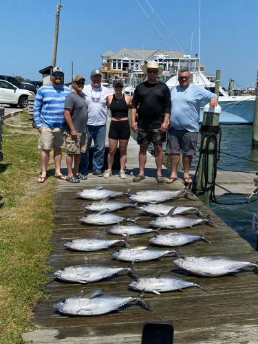 OBX Bait & Tackle Corolla Outer Banks, Corolla Fish Report