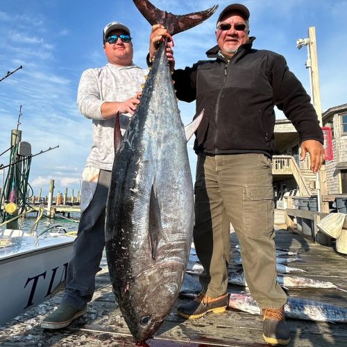 Oceans East Bait & Tackle Nags Head, Report from the weekend