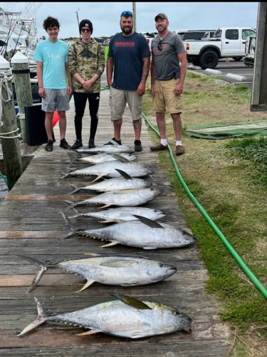True Grit Sportfishing, June Tuna