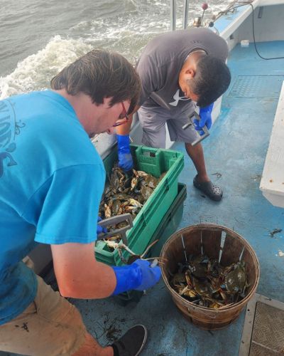 Risky Business Shrimping & Crabbing Charters, Come Catch Your Own Bluecrabs & Shrimp