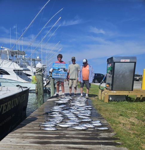 Waverunner Fishing Charters, Blackfins!