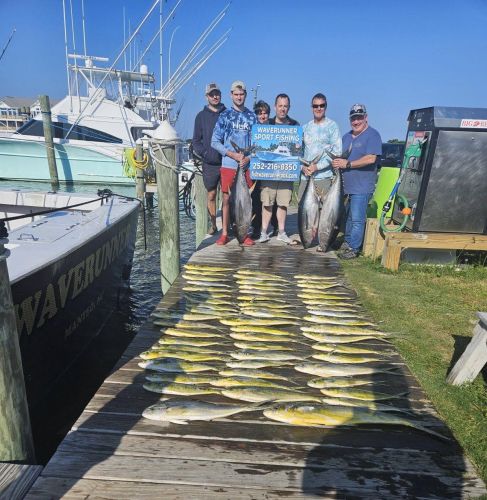 Waverunner Fishing Charters, Dolphin & Yellow Fins