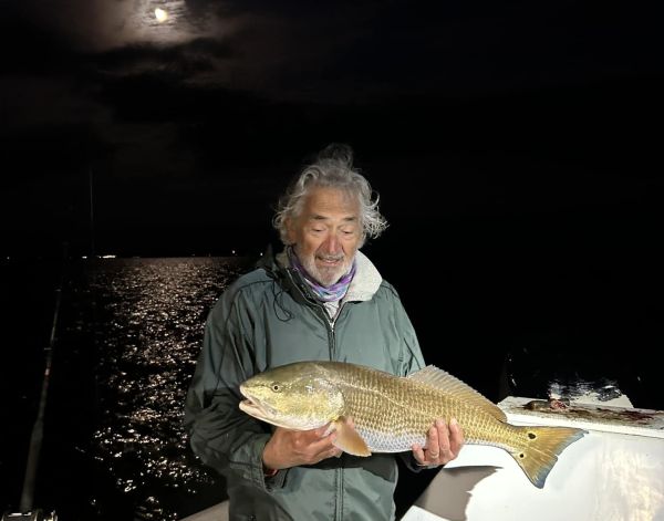 Gecko Sportfishing, Good Days Recently