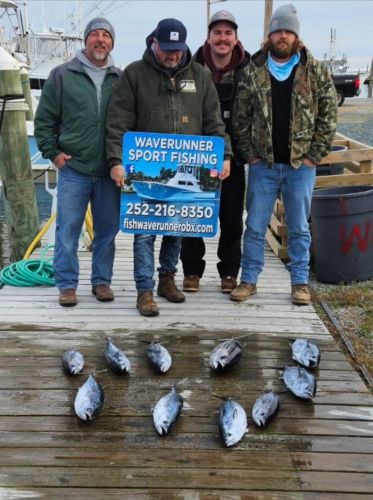 Waverunner Fishing Charters, Black Fins & Alberts