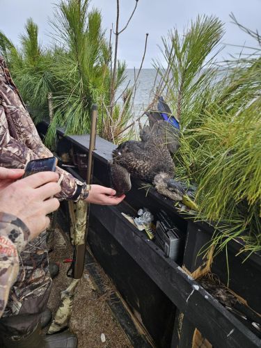 Waverunner Fishing Charters, Quack Quack!