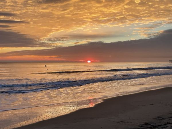 Jennette's Pier, Beautiful Morning