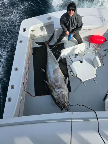 Phideaux Fishing Charters Outer Banks, Big tuna are here!!