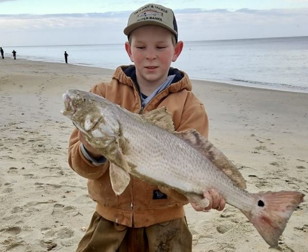 TW’s Bait & Tackle, Lots of Puppy Drum This Week