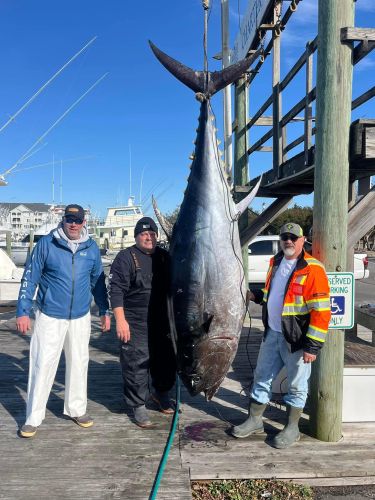 Pirate's Cove Marina, Nice Bluefin!