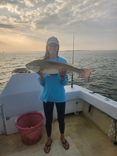 Gecko Sportfishing, Now Booking for Spring Fishing
