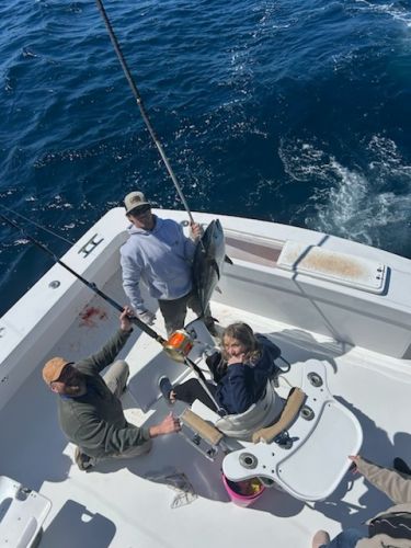 Pirate's Cove Marina, Spring Bluefin & Yellowfin