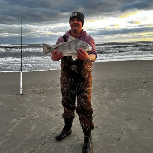 Tradewinds Tackle Shop, Black Drum on Shrimp