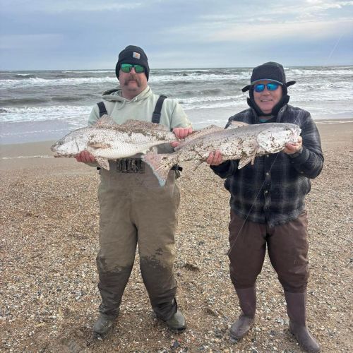 Tradewinds Tackle Shop, Drum from the Beach