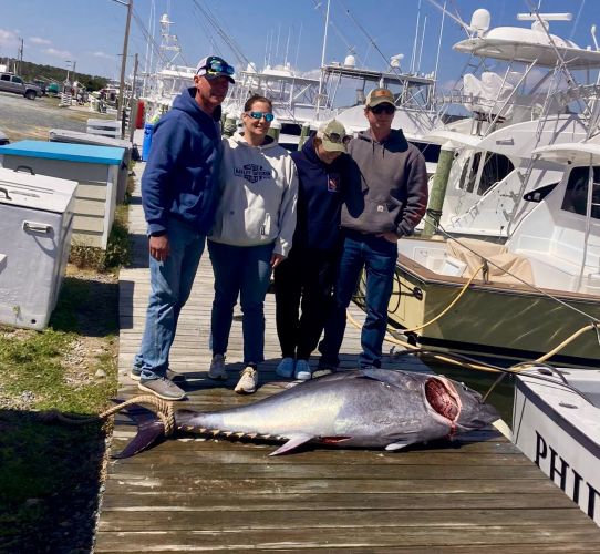 Wanchese Marina, Monster Bluefin