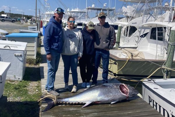 Wanchese Marina, Some Monster Bluefin