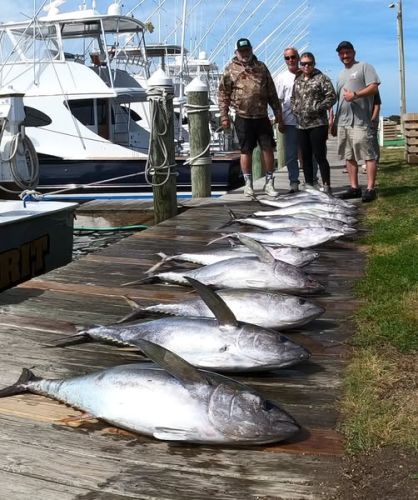 True Grit Sportfishing, Good Tuna Fishing