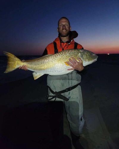 Tradewinds Tackle Shop, Citation Drum & Large Bluefish