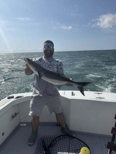 Wanchese Marina, Cobia Fishing is Here!