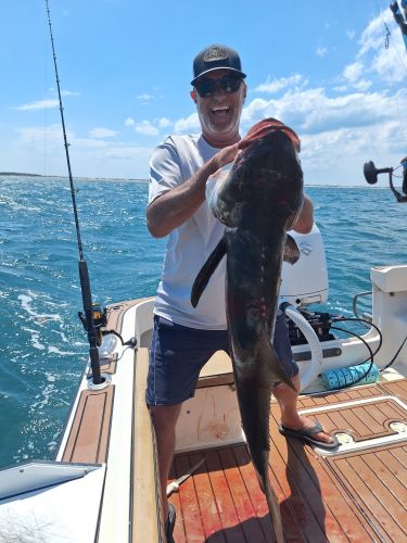 Wanchese Marina, Mackerel, Bluefish, Cobia, and Sheepshead