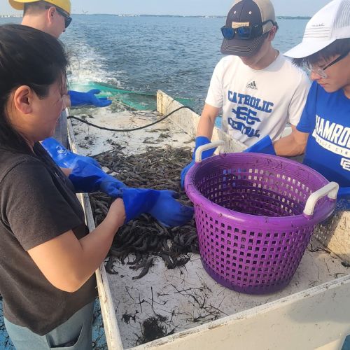Risky Business Shrimping & Crabbing Charters, First Trip of the Season!