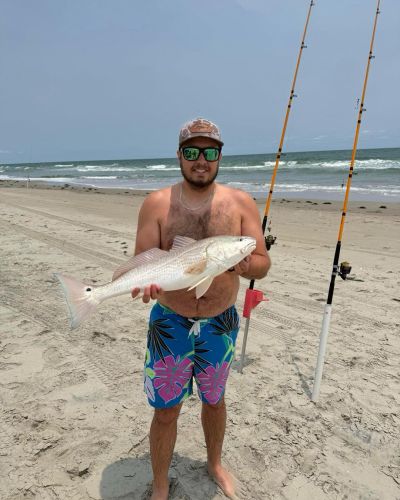 Tradewinds Tackle Shop, Puppy Drum