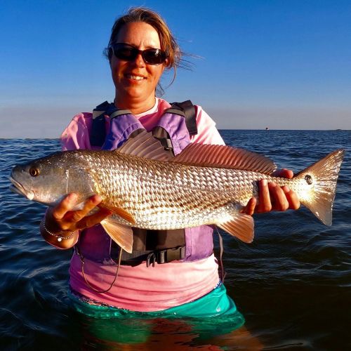 Every day seems to get even better!, OBX on the Fly