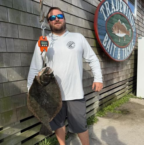 Tradewinds Tackle Shop, Flounder Citations in Ocracoke