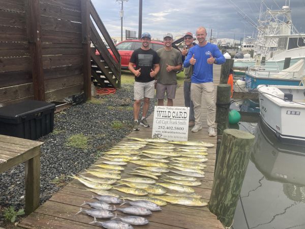 Wild Card Sportfishing Charters, Popeyes, small sailfish, and MAHI MAHI!