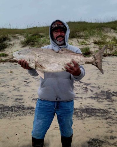 Tradewinds Tackle Shop, Drum Frishing in Ocracoke!