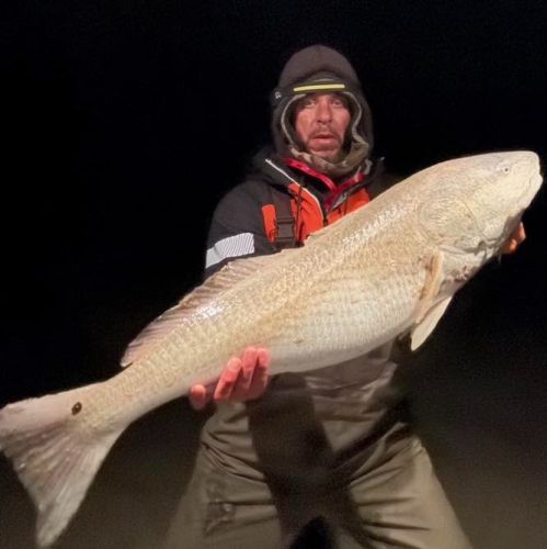 Tradewinds Tackle Shop, Big Red Drum