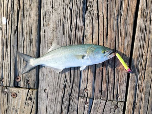 Jennette's Pier, Gray Day