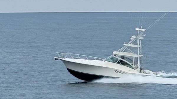 Jennette's Pier, So far... Bluefish!