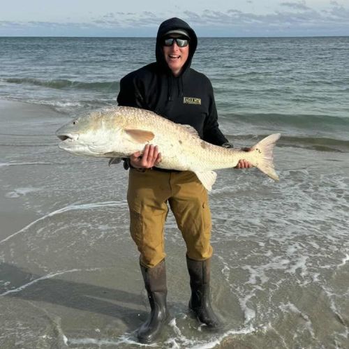 Tradewinds Tackle Shop, Monster Red Drum