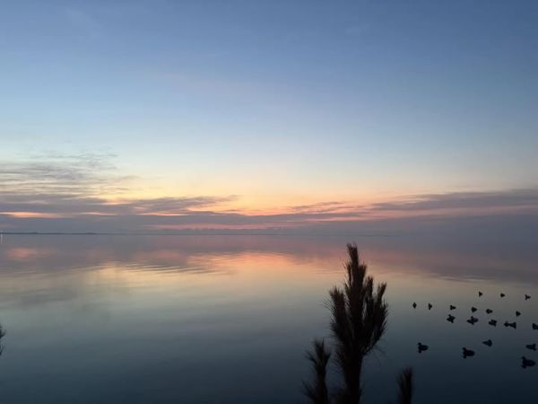 Gecko Sportfishing, Ocracoke Views