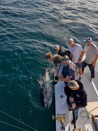 Pirate's Cove Marina, A great start to 2026!