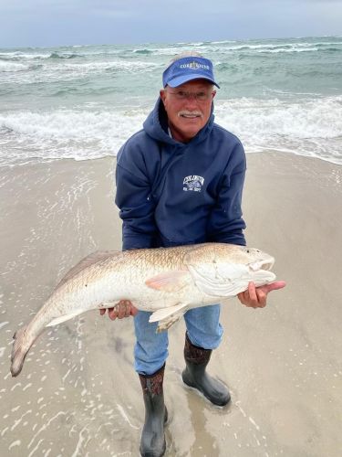 Tradewinds Tackle Shop, 46” Red Drum