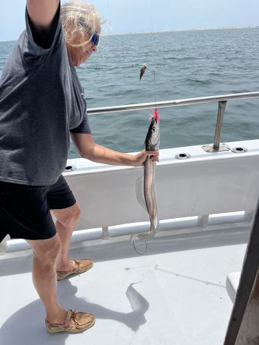 Miss Oregon Inlet II Head Boat Fishing, Ocean Trip Was a Blast!