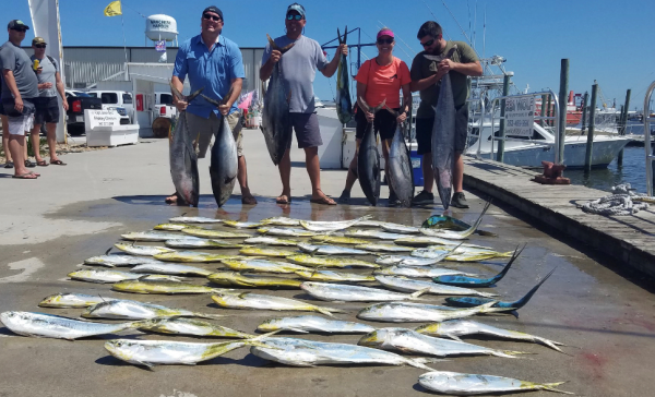 OBX Marina, 7-31-2019