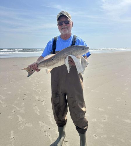 Tradewinds Tackle Shop, Red Drum at Ramp 72